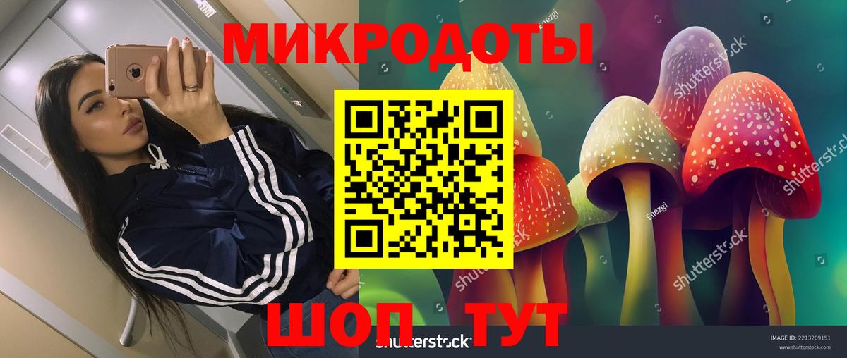 Псилоцибиновые грибы MAGIC MUSHROOMS  Вход с VPN  Морозовск 